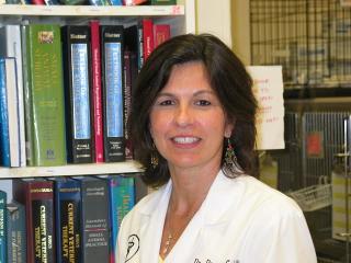 Dr. Donna A. Cobelli