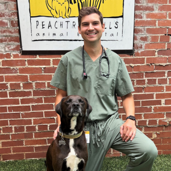 Dr. Andrew Sackellares