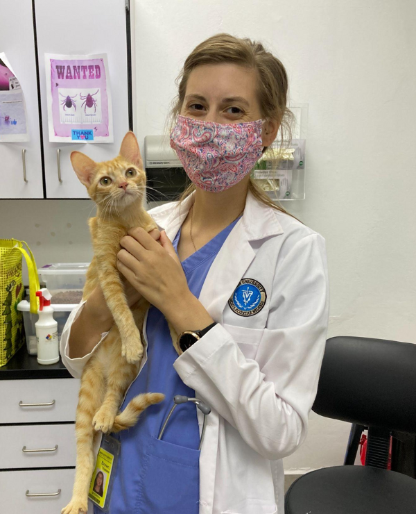 Dr. Chelsea Brown