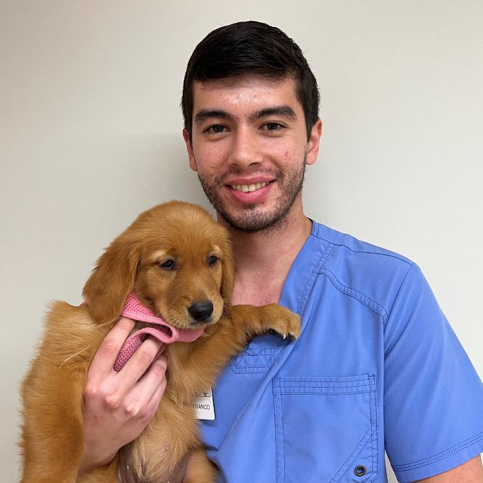 Dr. David Franco