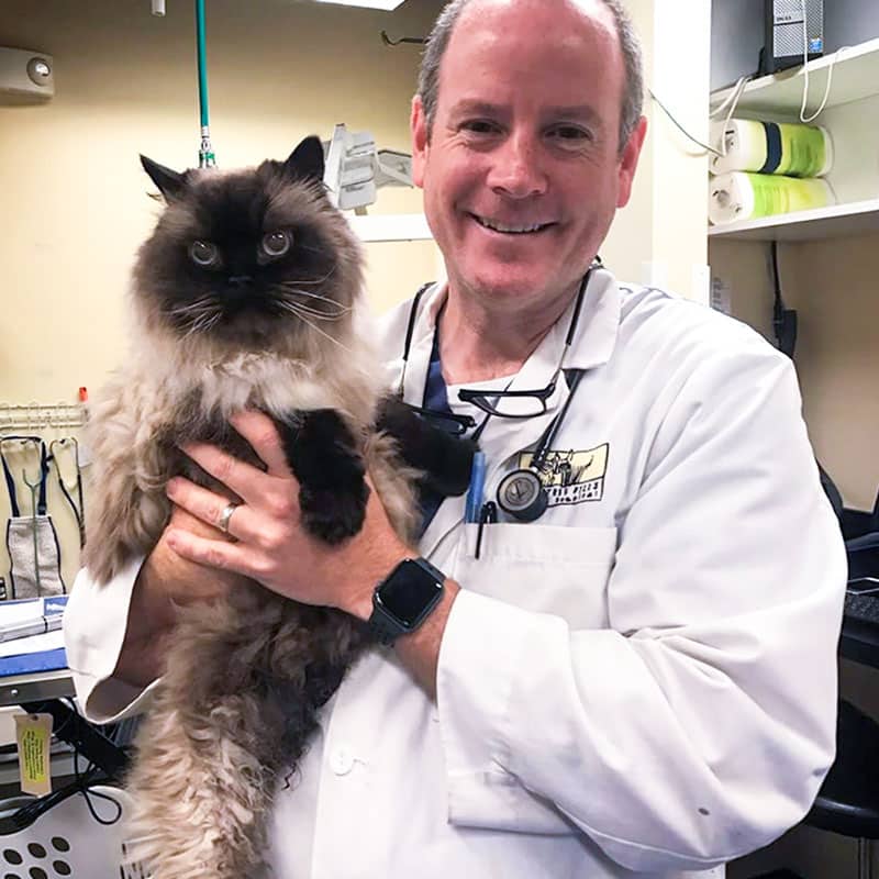 Dr. Duffy Jones