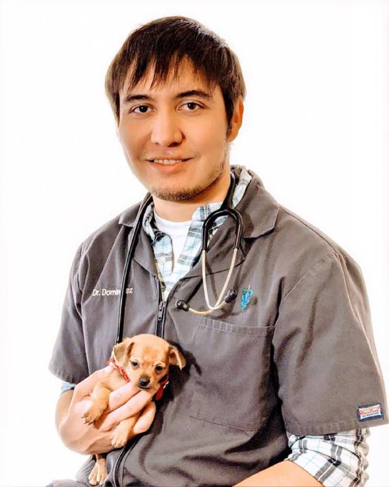 Dr. Carlos Dominguez