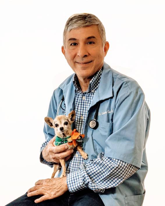 Dr. Garza