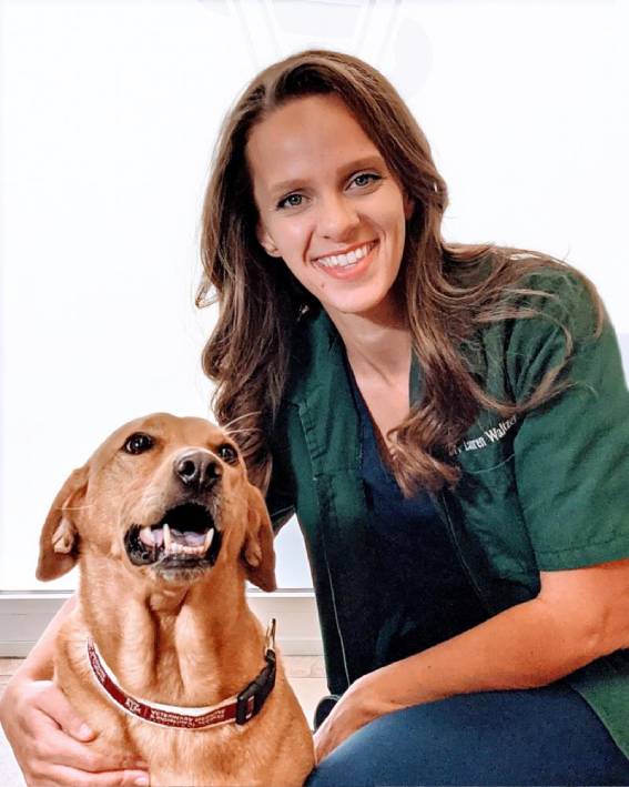 Dr. Lauren Waltzer