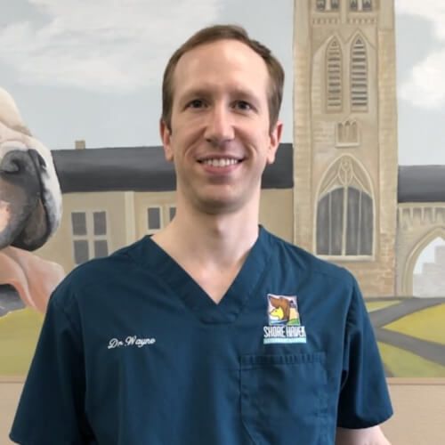 Dr. Daniel Wayne