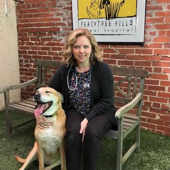 Dr. Tracy Navarra