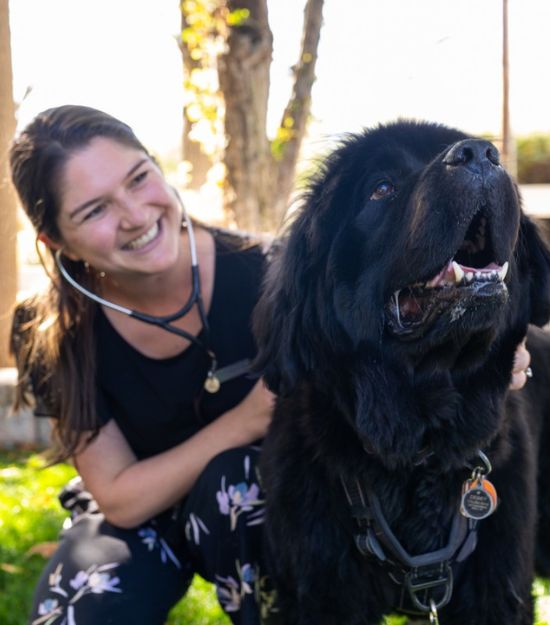 Brennah Gambino, DVM